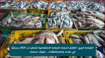 انفراجة كبرى: إطلاق اسماء الرعاية الاجتماعية لشهر آب 2025 رسميًا في بغداد والمحافظات.. شوف اسمك